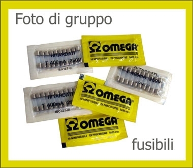 CONFEZIONE 10 FUSIBILI RAPIDI 100 MA